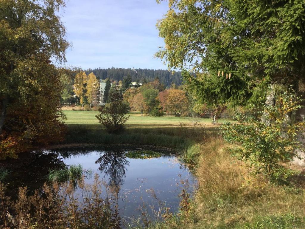 Apartment 358 Mit Sauna, Schwimmbad Und Fitness Schönwald Bagian luar foto